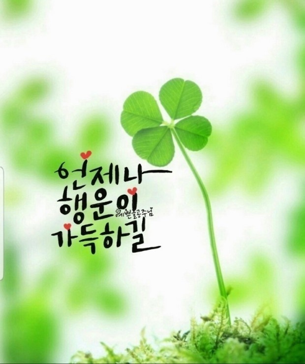 화이트펜슬스터디카페부산당리점 이미지