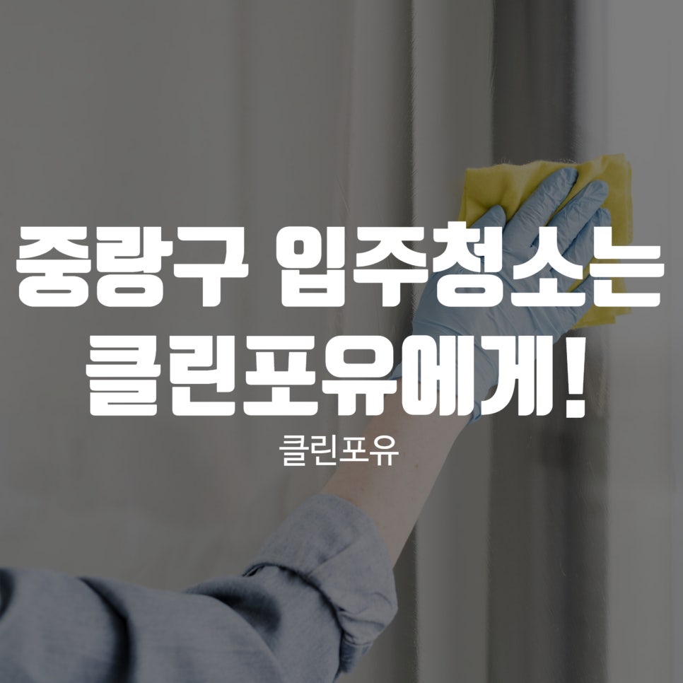 클린포유 이미지