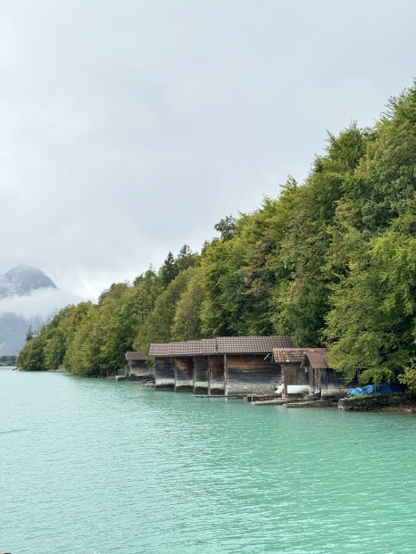Brienz Lake Cruise