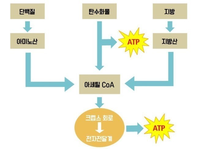 이인에너지 이미지