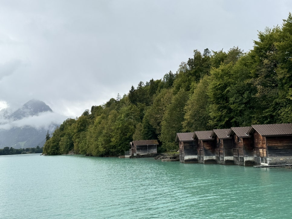 Brienz Lake Cruise