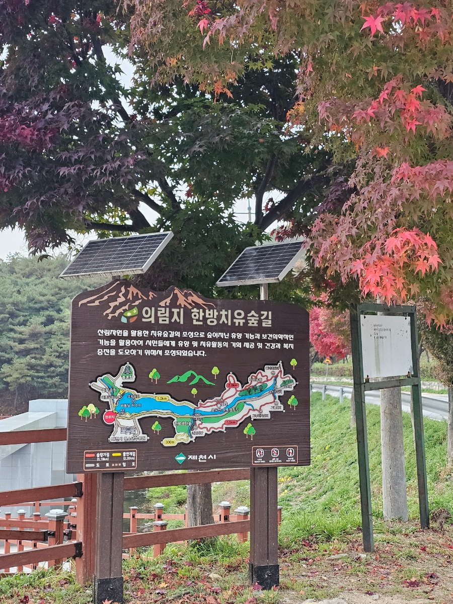의픔장어 이미지