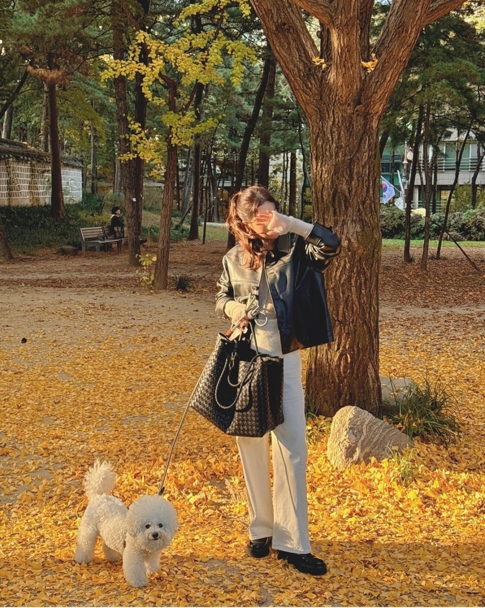 코디야 이미지