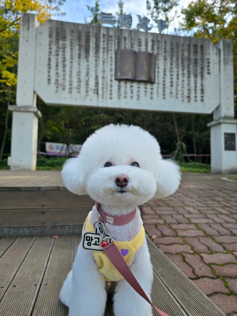 월드펫투어 이미지