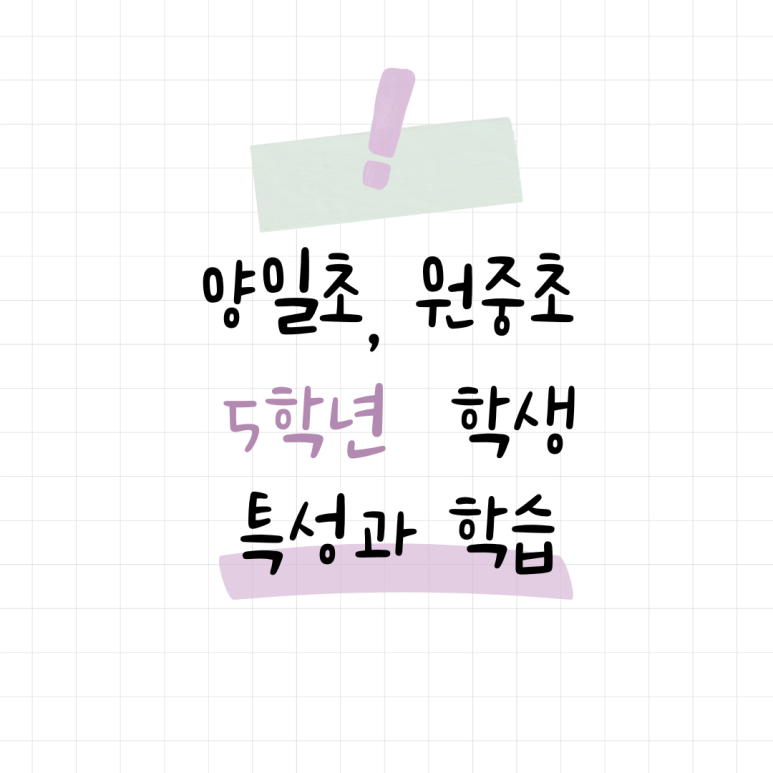 리체움교육 이미지
