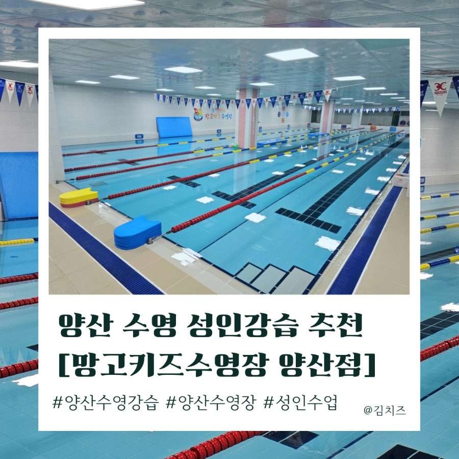 양산 성인 수영 강습 추천: 망고키즈수영장 소수정예 레슨 — 사진 1