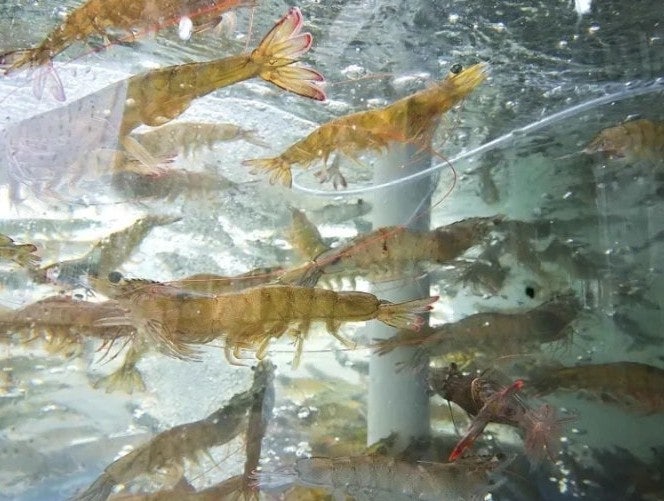 경기식당 이미지