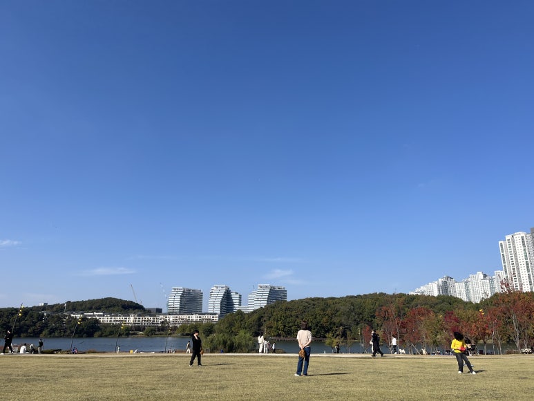 자기공간 이미지