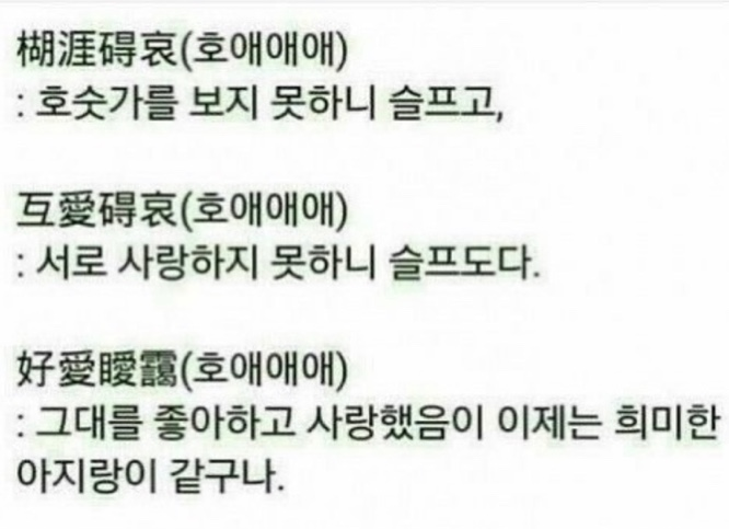 나마 이미지