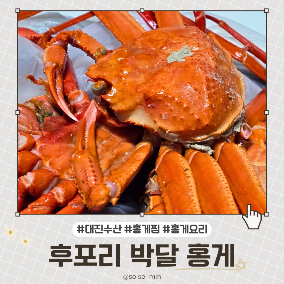 대진수산 이미지