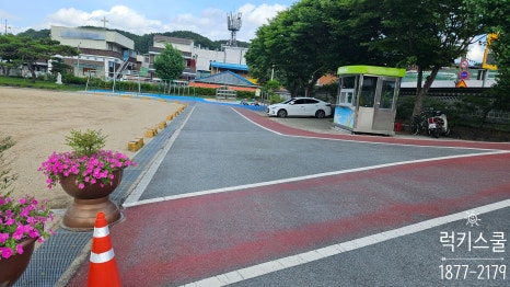 럭키스쿨진주 이미지