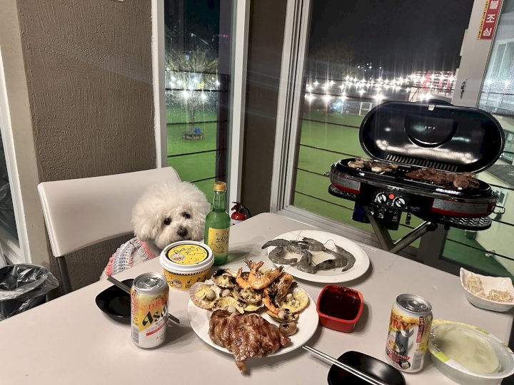바우마트 이미지