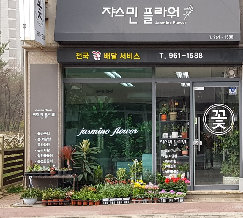 플라워쟈스민 이미지