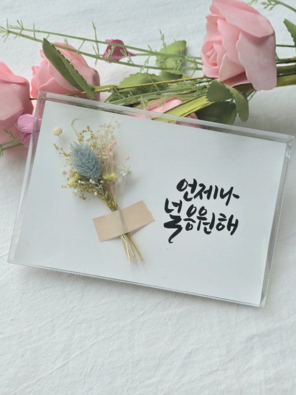 담꽃 이미지