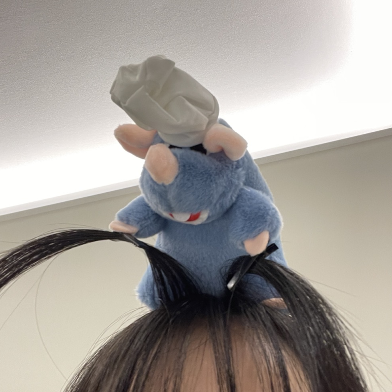 이십사-십일 이미지