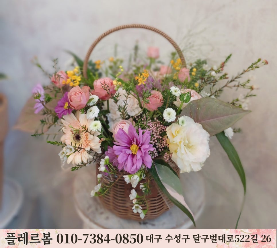 플레르봄 이미지