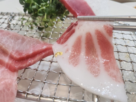 참치와사비 이미지