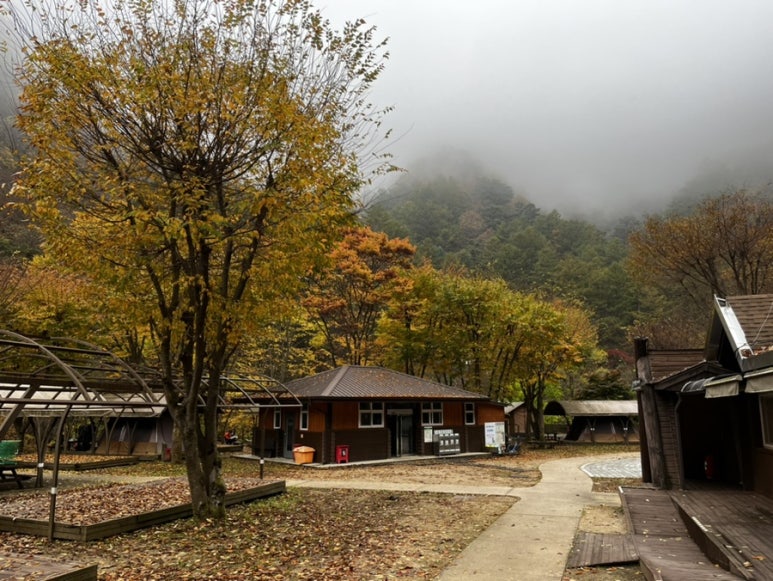 소백산국립공원 남천야영장 이미지