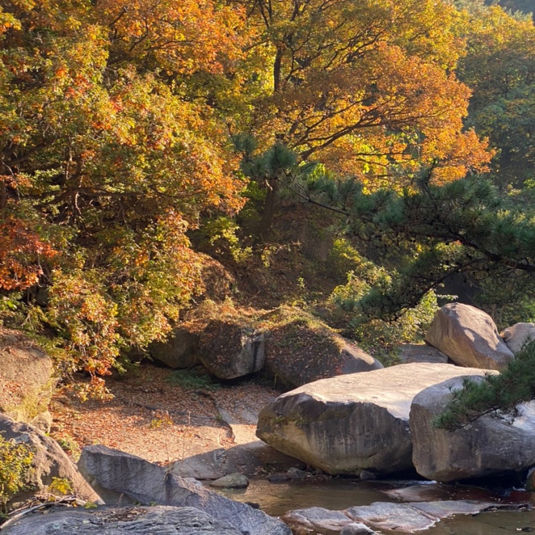 아이더롯데아울렛 이미지