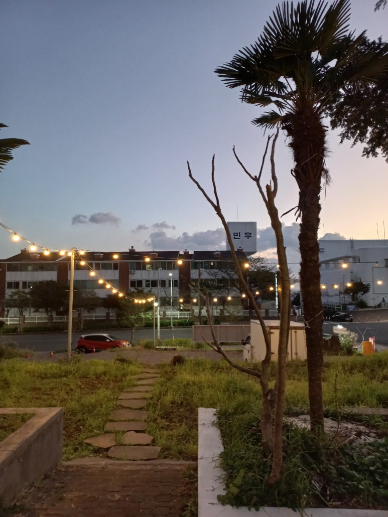 정육도 제주 신서귀포점 이미지