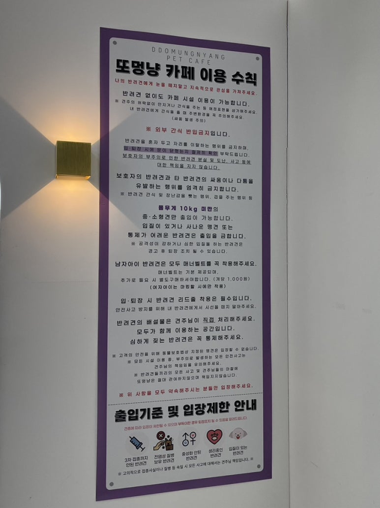 또멍냥 이미지