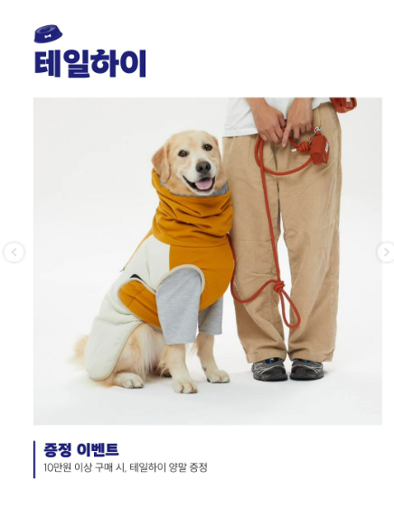 (주)베테랑이벤트 이미지