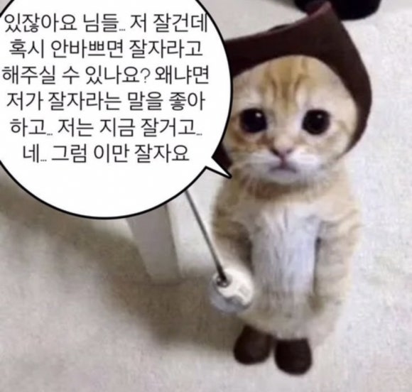 세꼬시마을 이미지