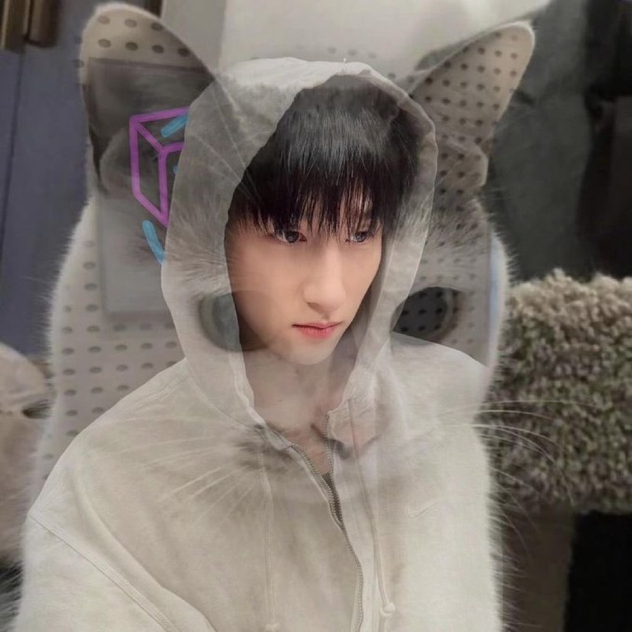 백광 이미지
