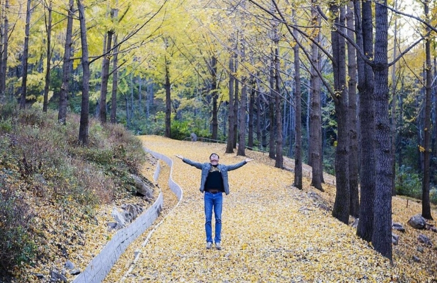 은행나무가든 이미지