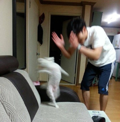 메르엠 이미지