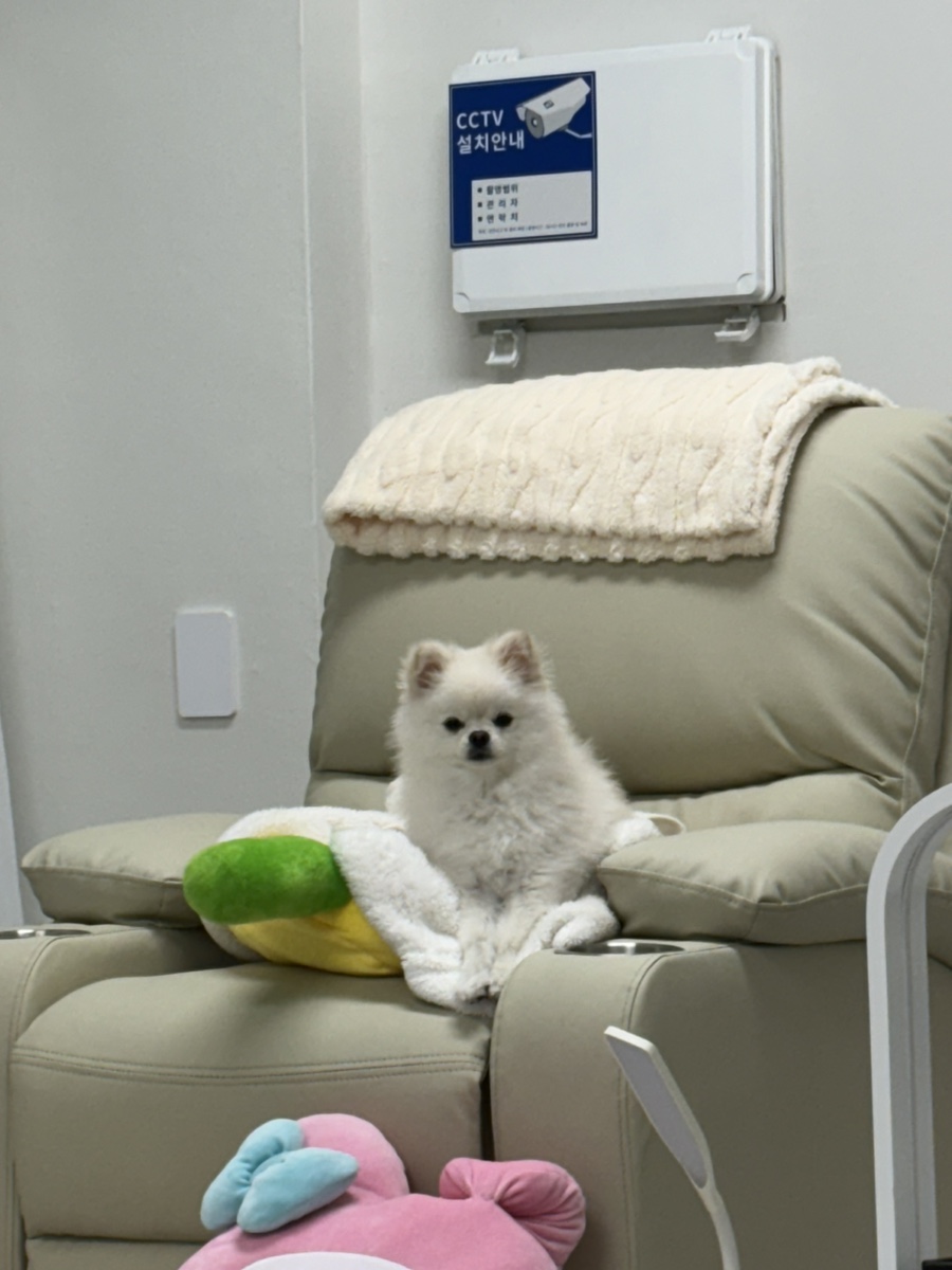 오하뷰티스튜디오 이미지