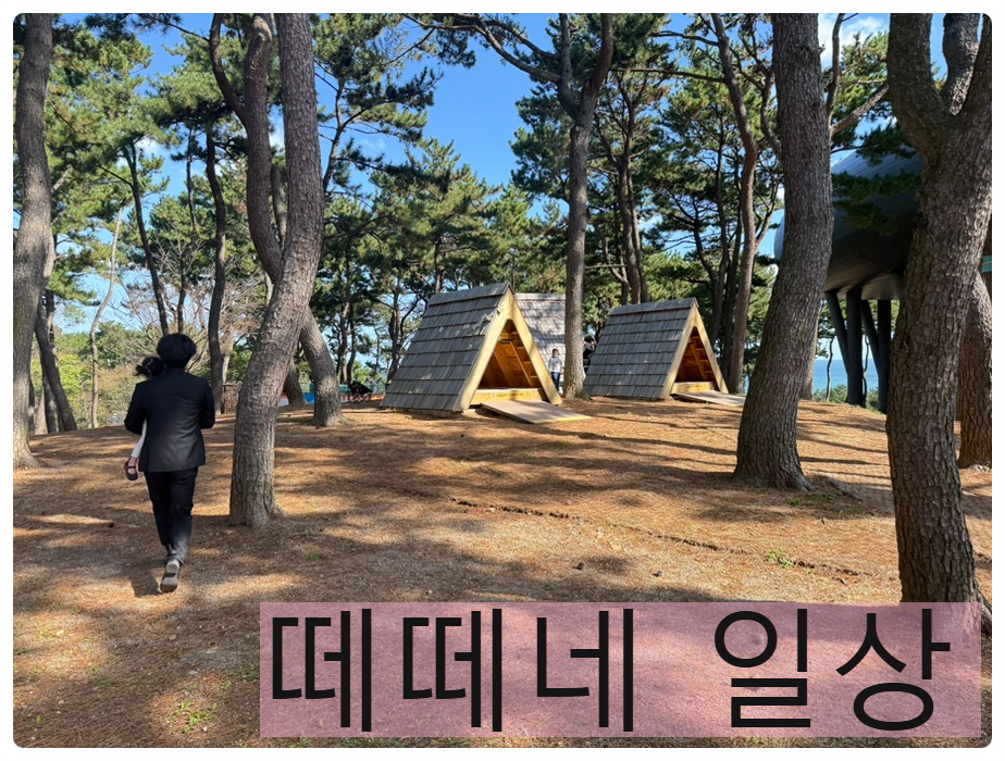아이누리공주 이미지