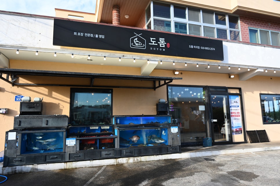 도톰협재 이미지