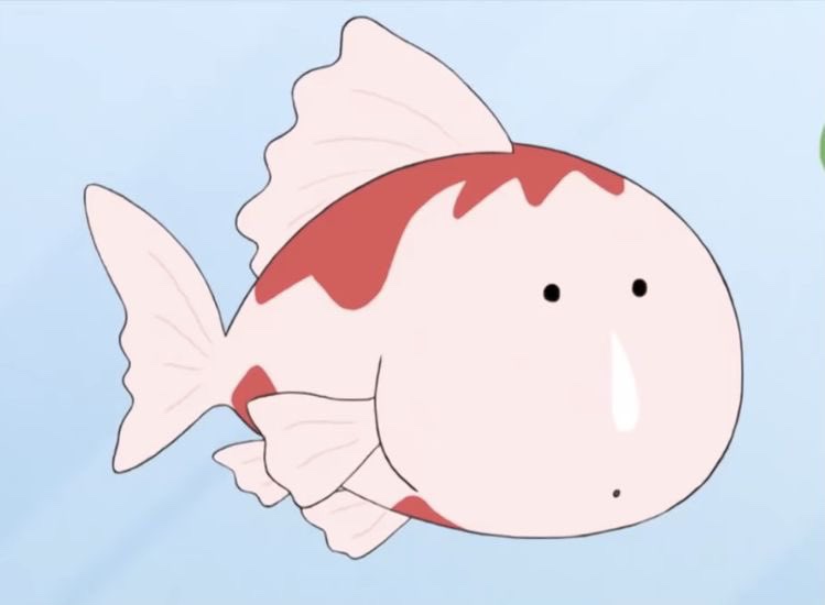 공주당 이미지