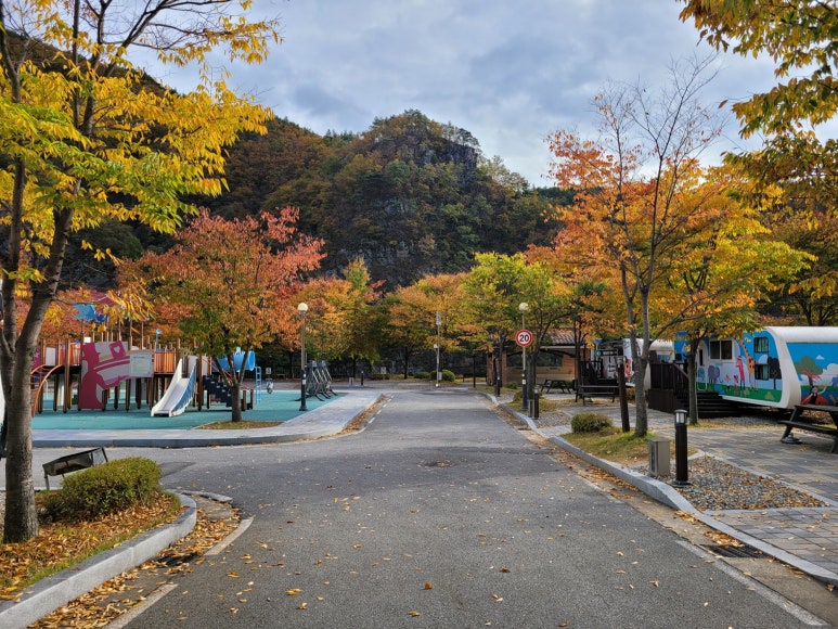 캠핑숲 이미지