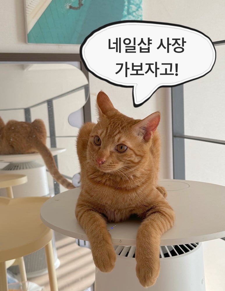 네일조음 이미지