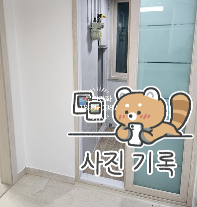 태양전파사 이미지