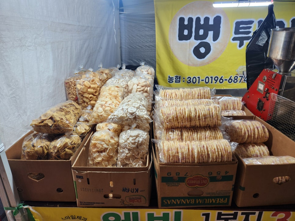 노랑머리과일 이미지