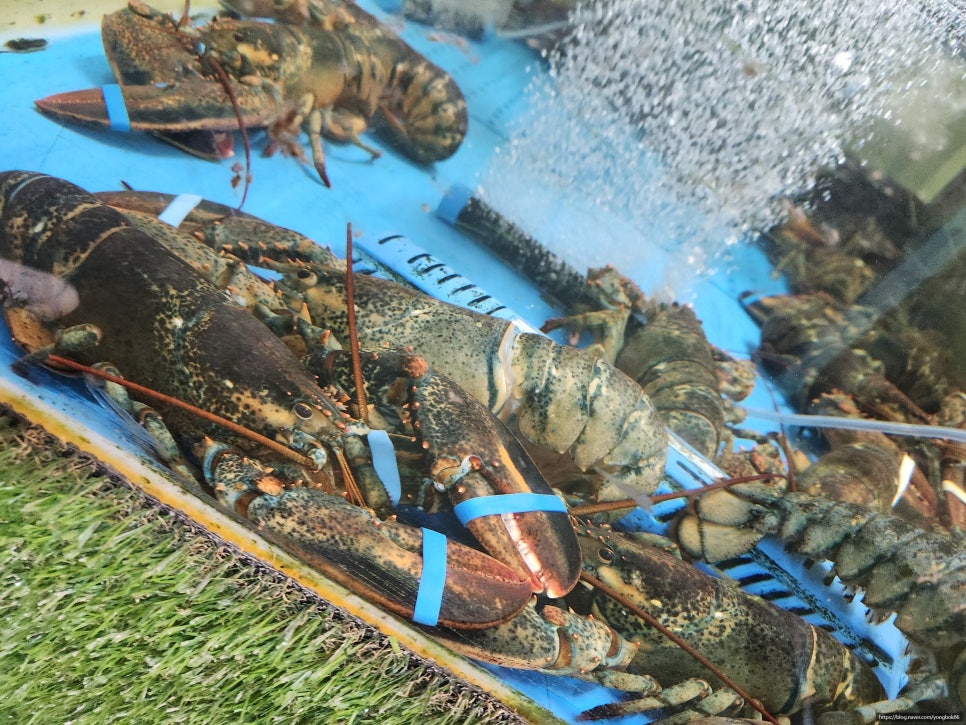 라봉크랩 청계점 이미지