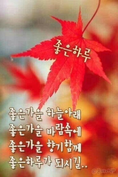 패션아울렛 이미지