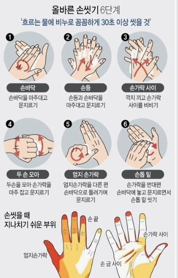 브로우유 이미지