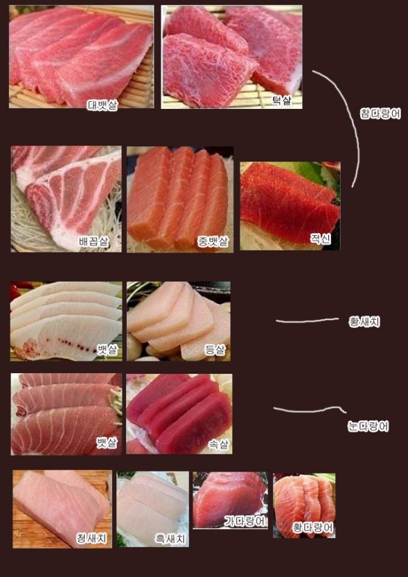 참치마찌 이미지