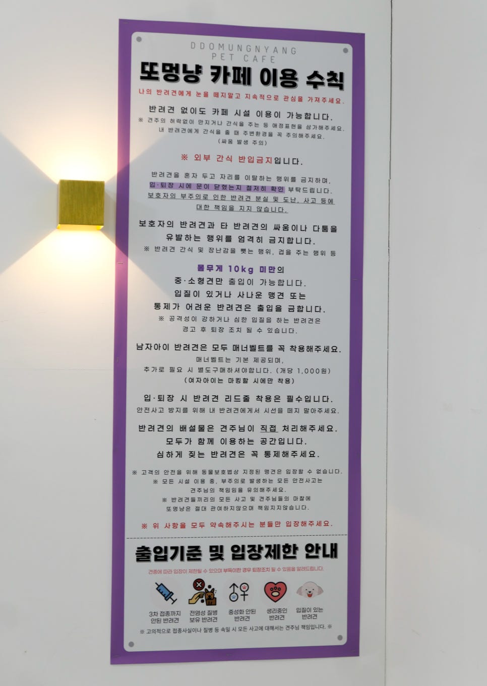 또멍냥 이미지