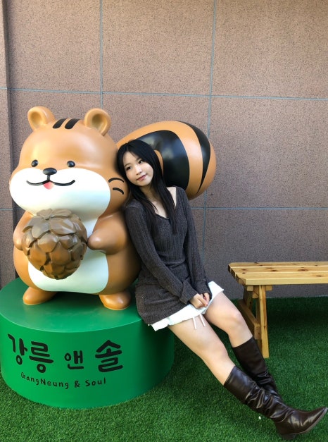 강릉앤솔 이미지