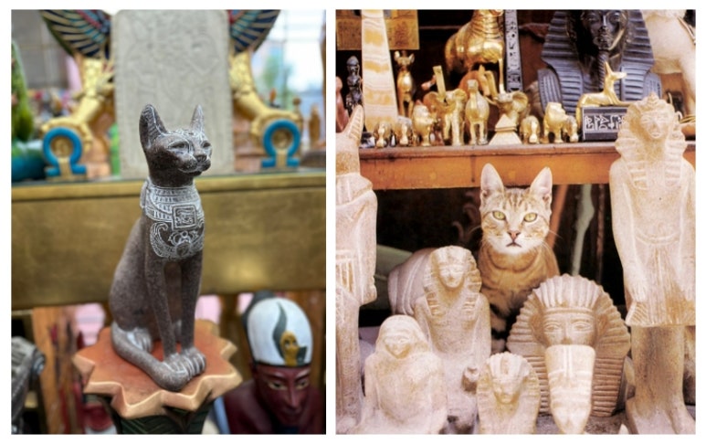 바스테트(Bastet) 이미지