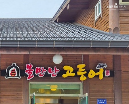 불만난고등어 이미지