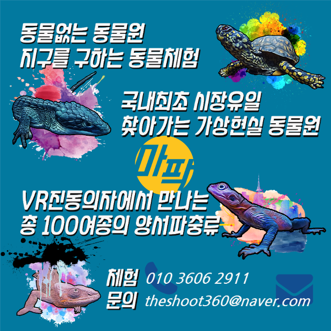 코이카어린이집 이미지