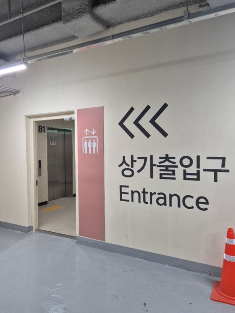 보에스테틱 이미지