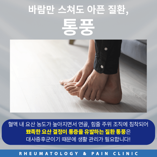 류마척제통내과 이미지