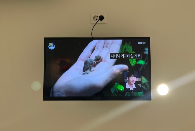 리포윅스슈가링왁싱화성남양점 이미지